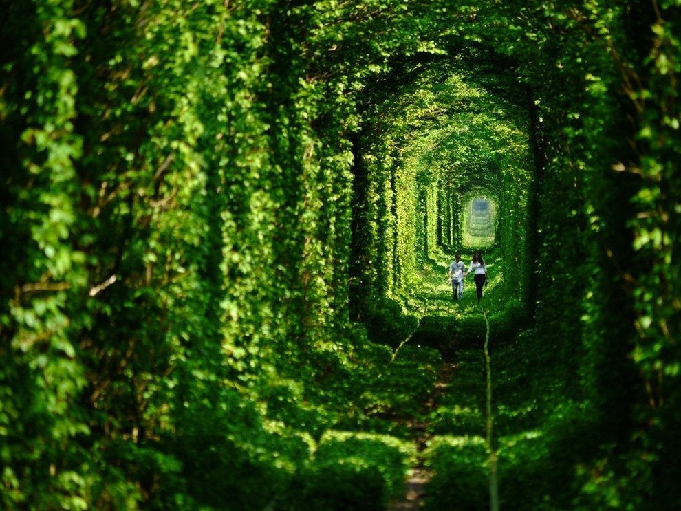 Tunnel de l'amour (Ukraine)